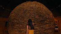 Click to watch 'Ball of Twine (Kansas) (...' (popup) 50 States Of Fright